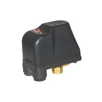 Реле защиты насоса от сухого хода Black 1/4 ВР TPC-9A/PS-02C